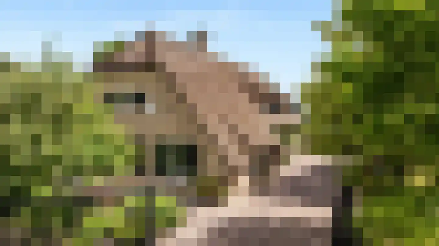 Voordijk 42 Schelluinen thumbnail 5