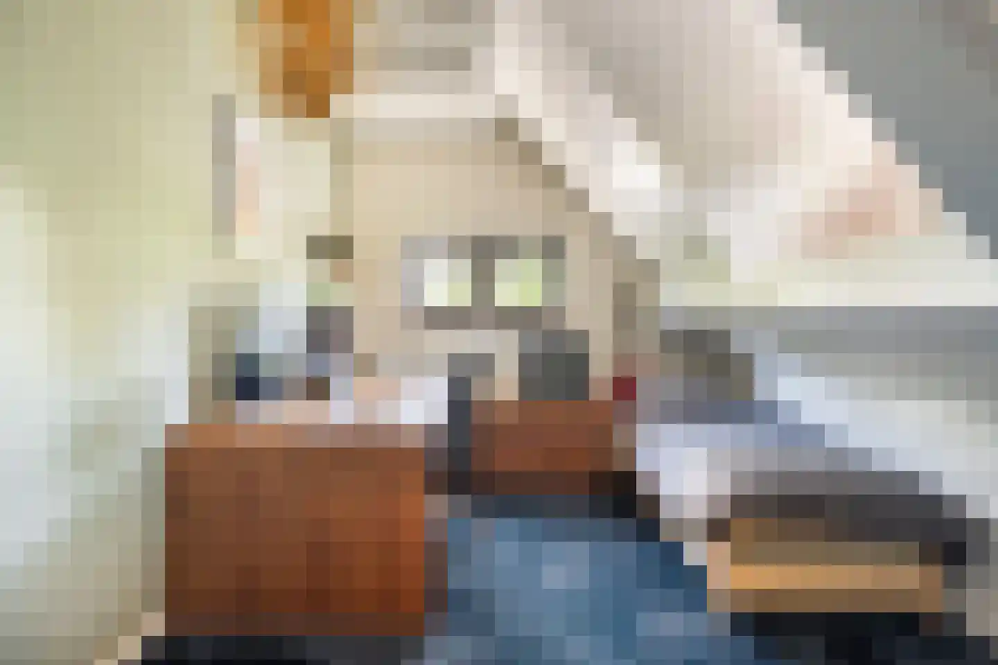 Voordijk 42 Schelluinen thumbnail 52