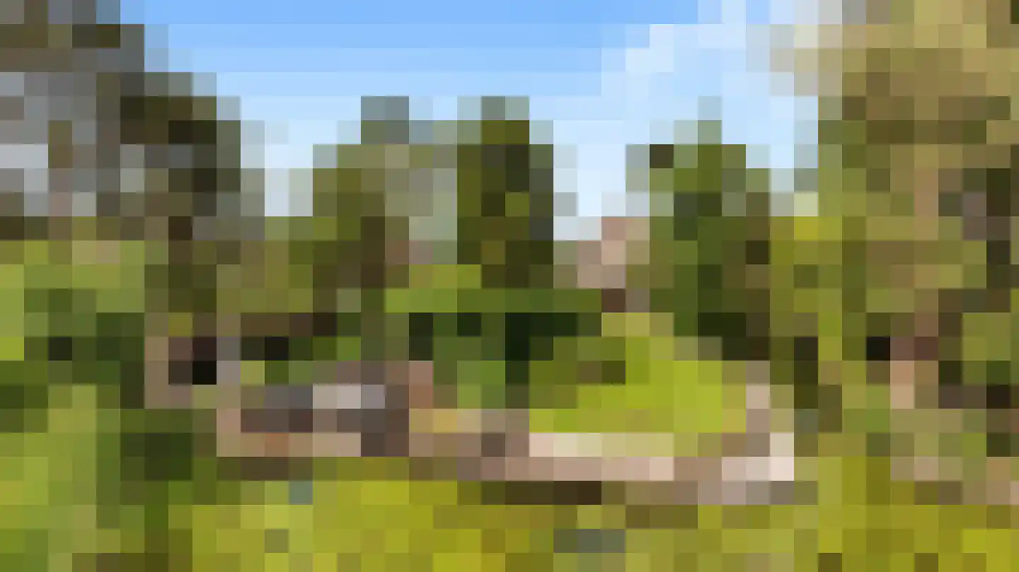 Voordijk 42 Schelluinen thumbnail 6