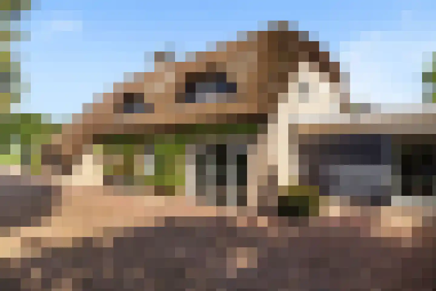 Voordijk 42 Schelluinen thumbnail 60