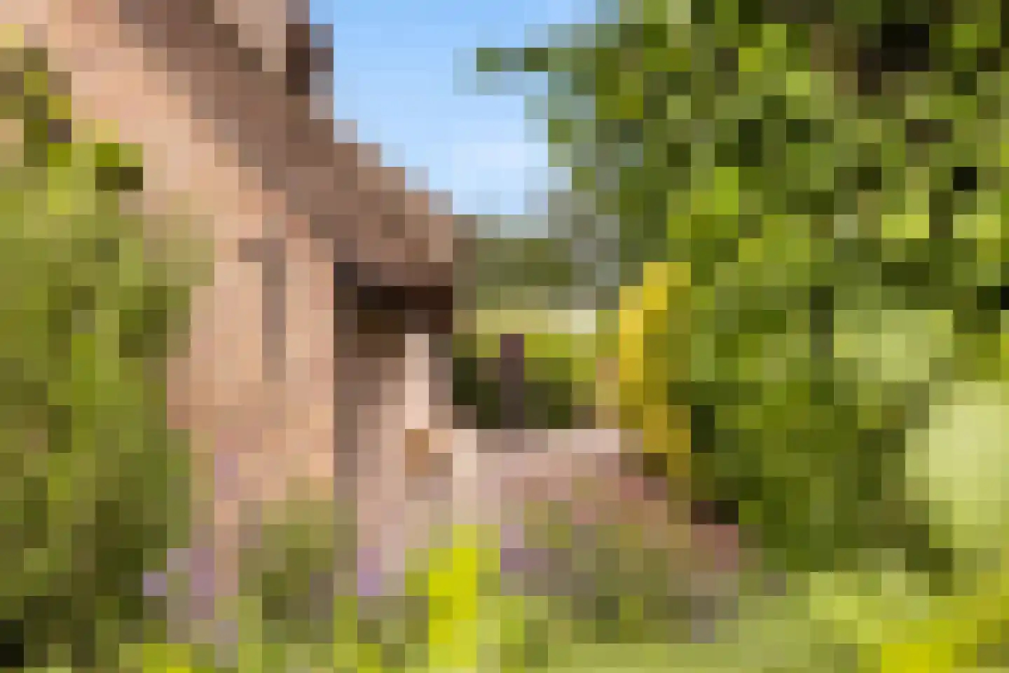 Voordijk 42 Schelluinen thumbnail 66