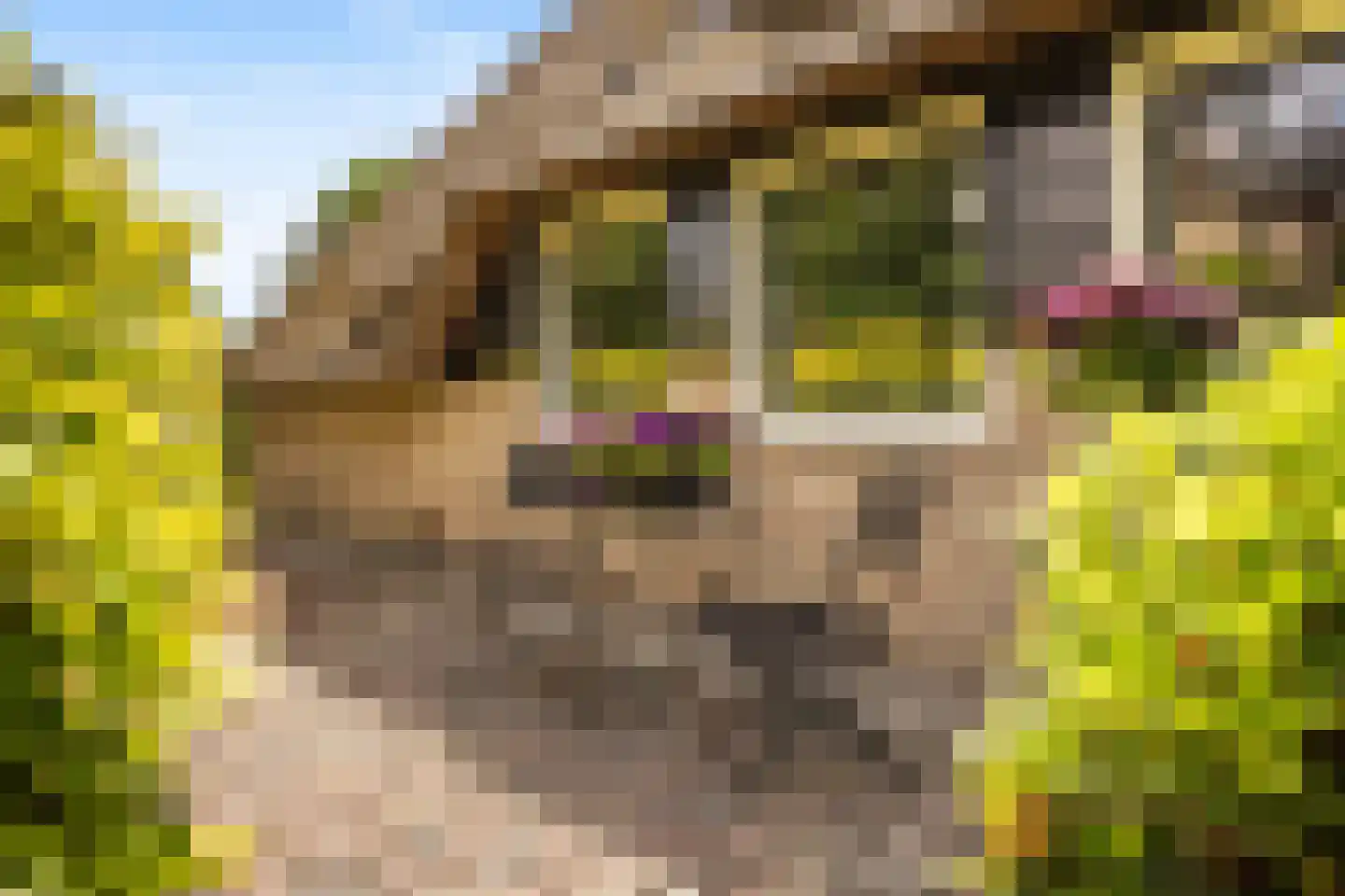 Voordijk 42 Schelluinen thumbnail 68