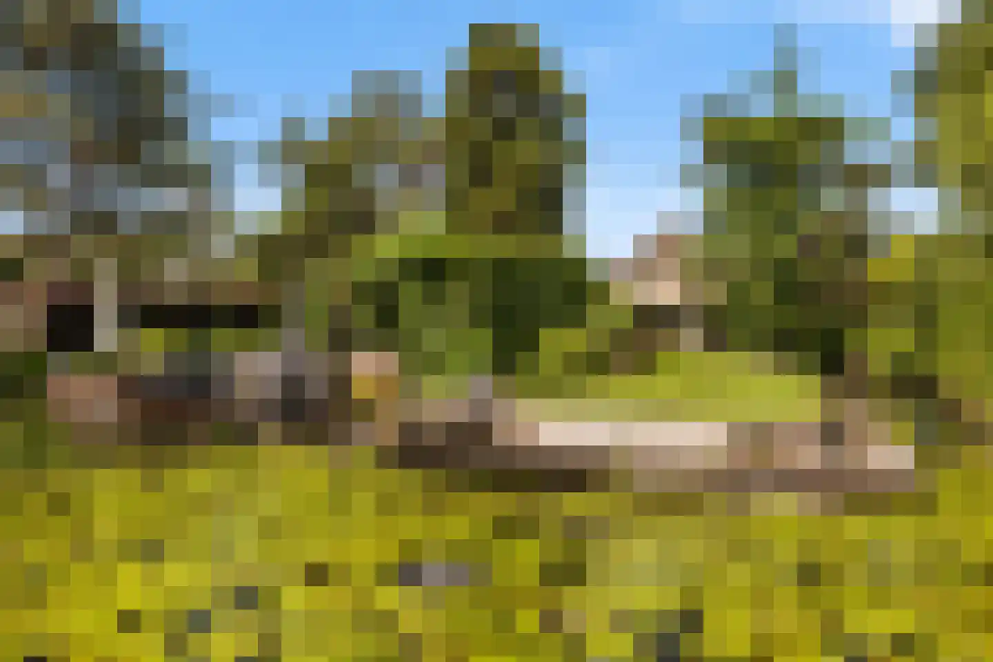 Voordijk 42 Schelluinen thumbnail 69