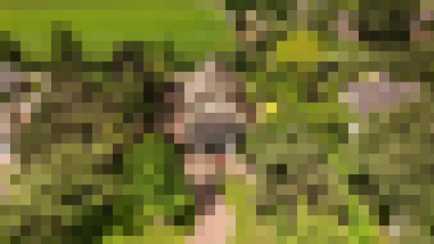 Voordijk 42 Schelluinen thumbnail 7