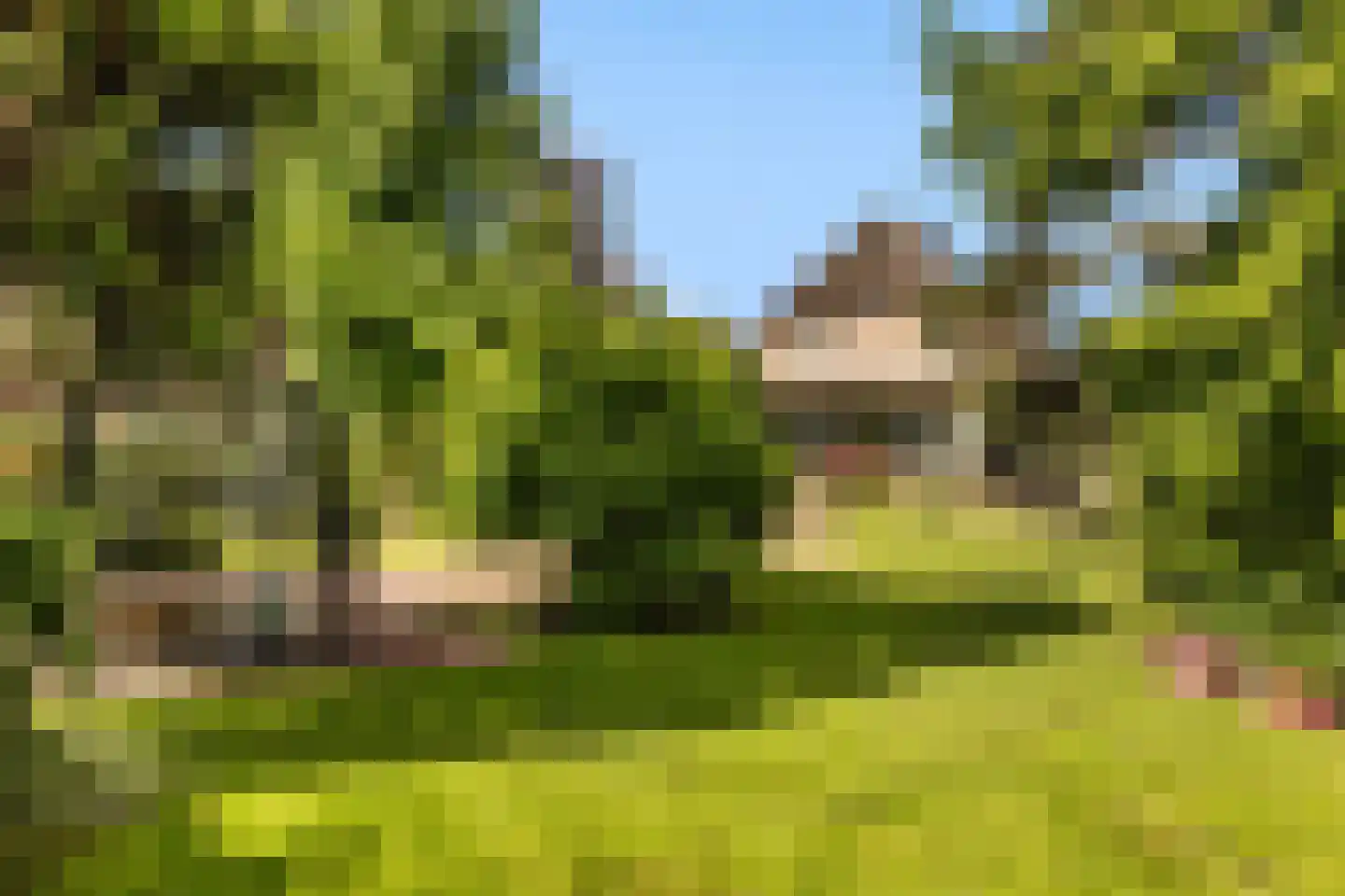 Voordijk 42 Schelluinen thumbnail 70