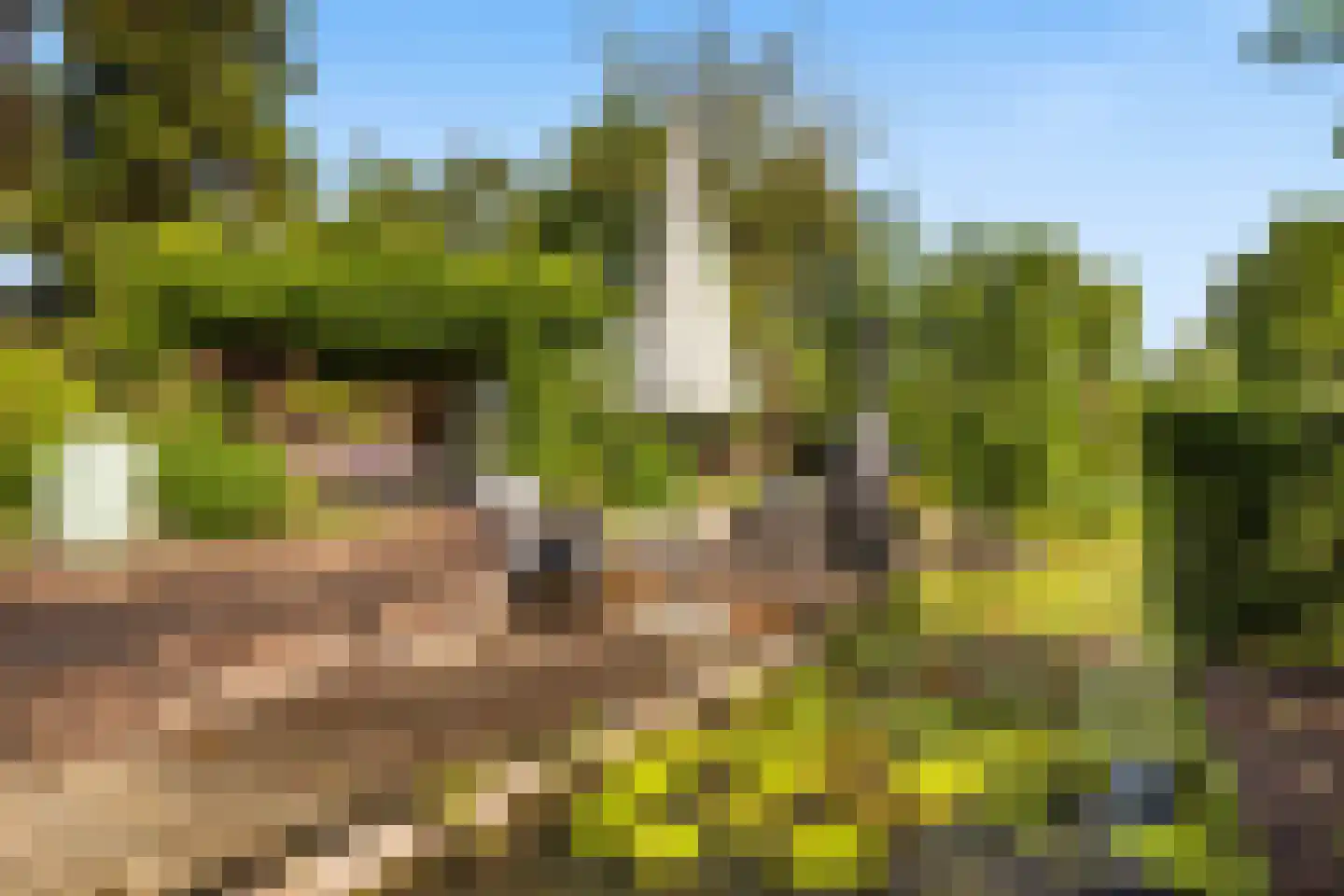 Voordijk 42 Schelluinen thumbnail 71
