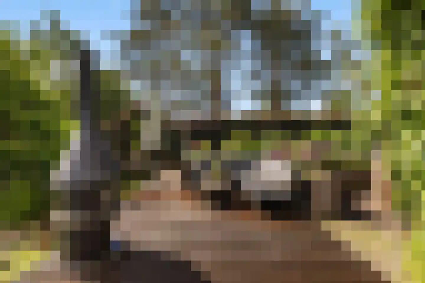 Voordijk 42 Schelluinen thumbnail 72