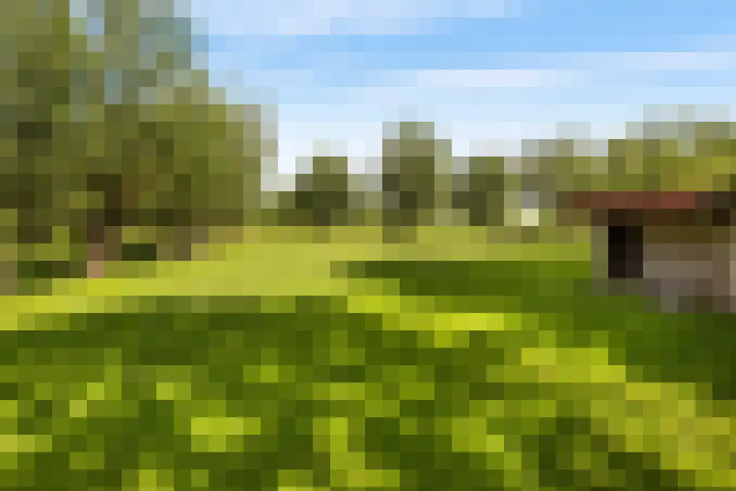 Voordijk 42 Schelluinen thumbnail 77