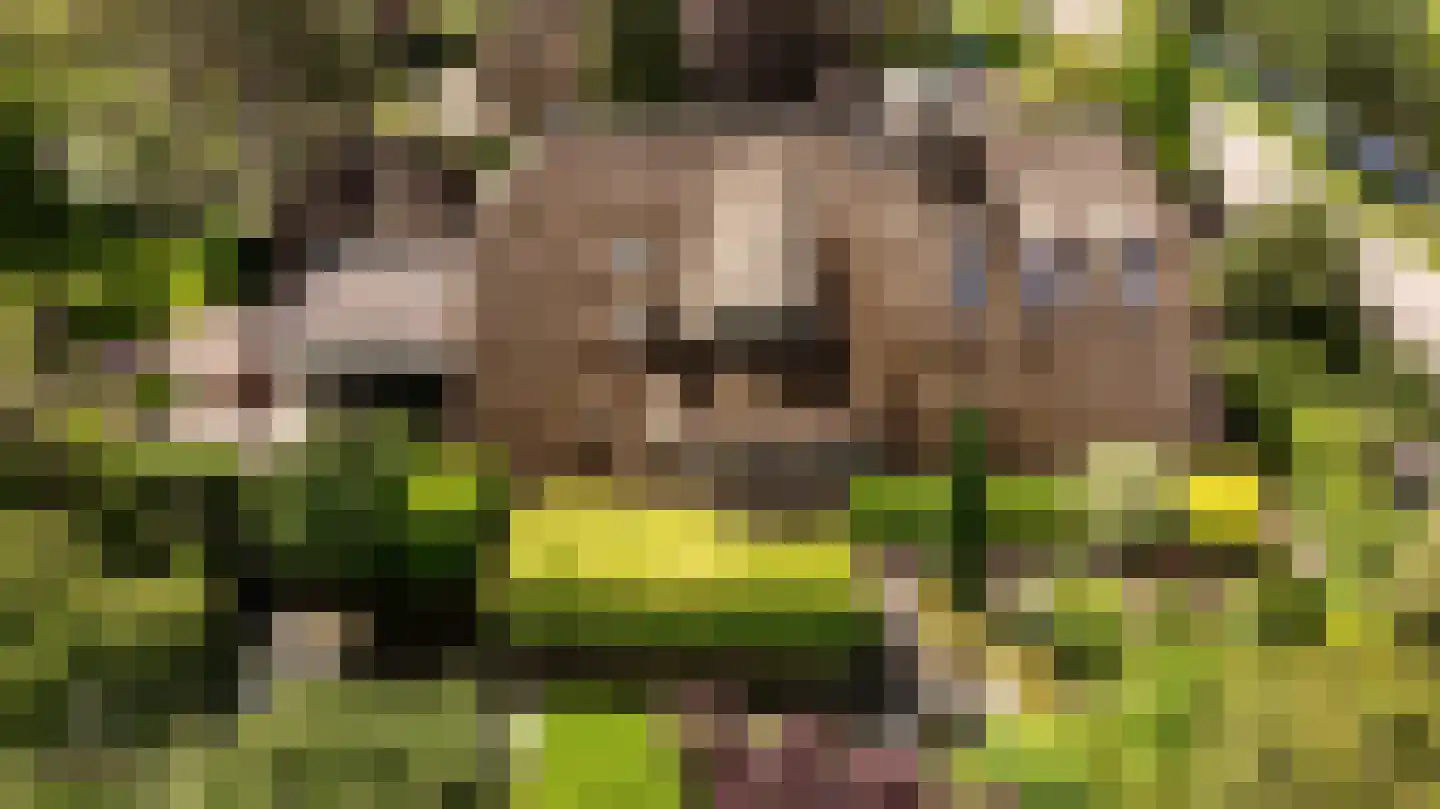 Voordijk 42 Schelluinen thumbnail 8