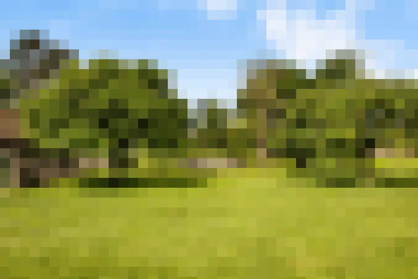 Voordijk 42 Schelluinen thumbnail 80