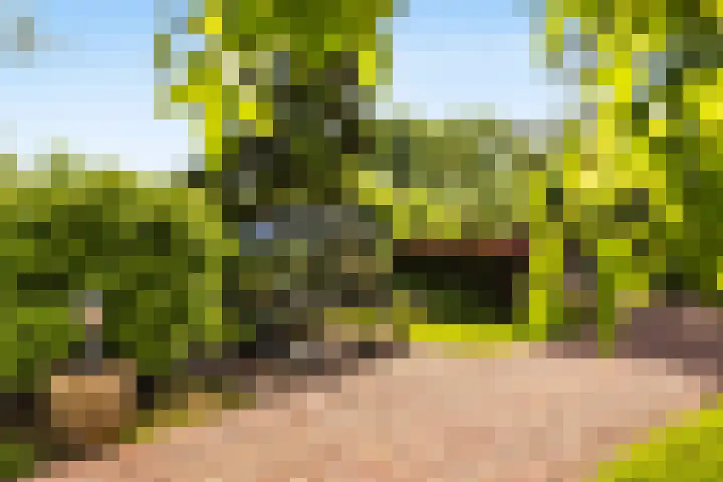 Voordijk 42 Schelluinen thumbnail 81