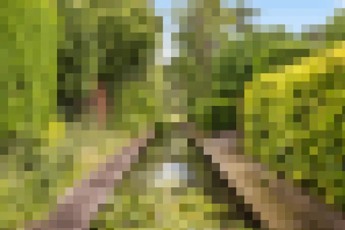 Voordijk 42 Schelluinen thumbnail 83