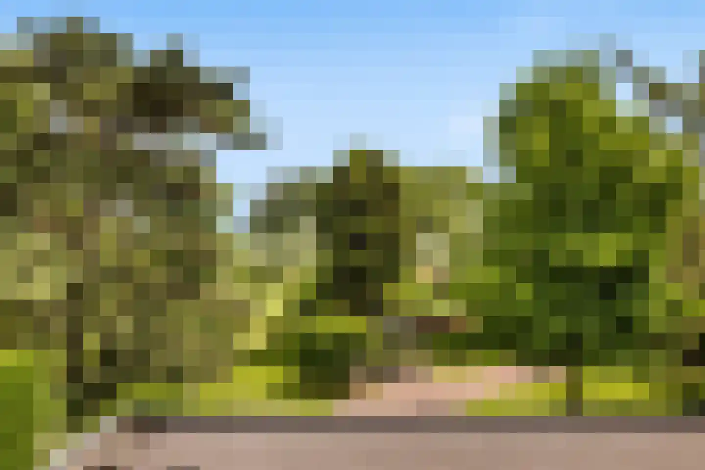 Voordijk 42 Schelluinen thumbnail 84