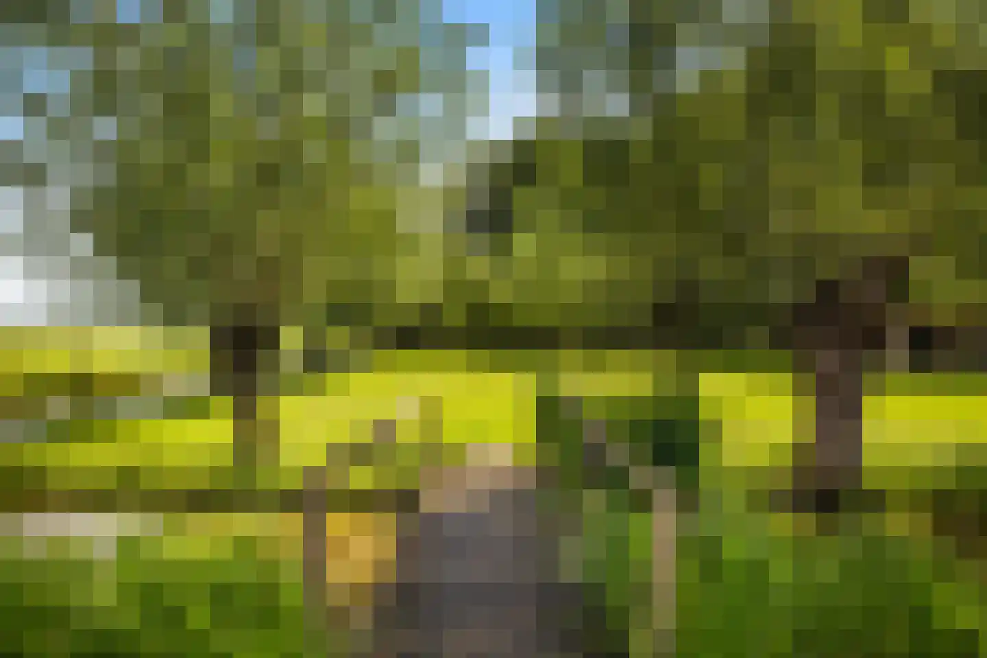 Voordijk 42 Schelluinen thumbnail 85