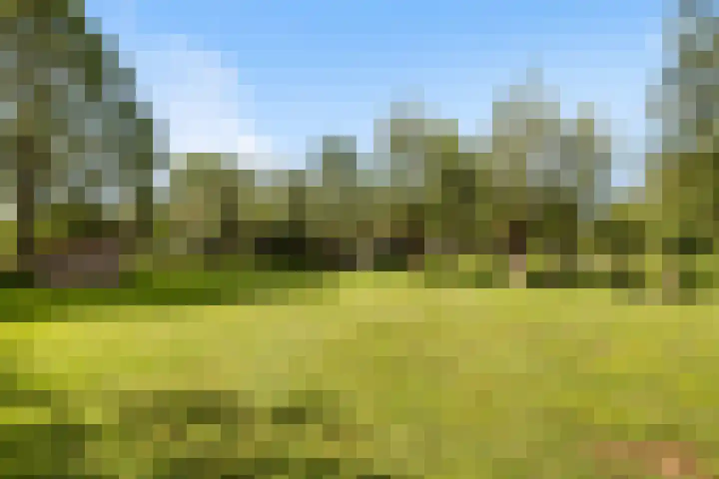 Voordijk 42 Schelluinen thumbnail 86