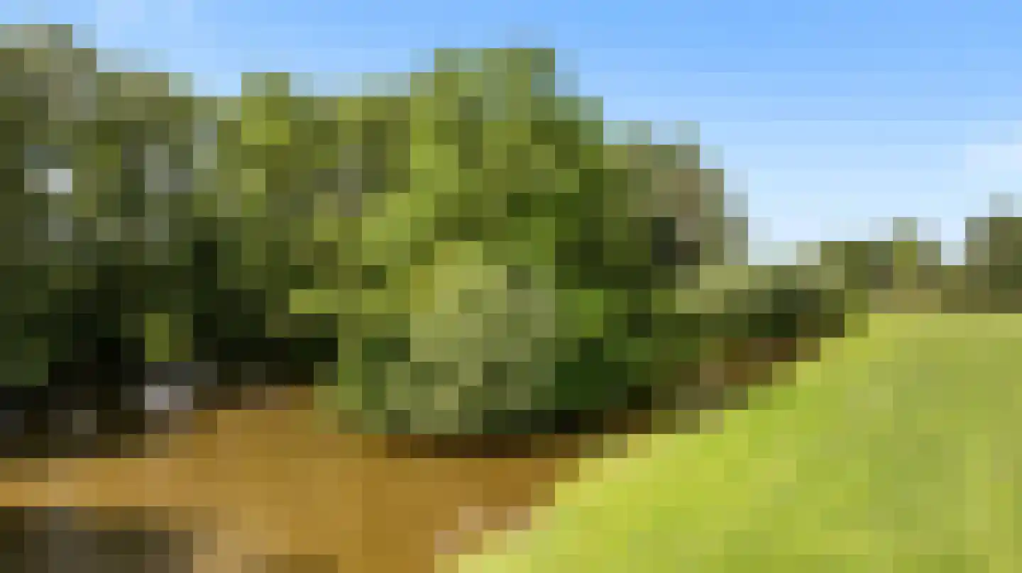 Voordijk 42 Schelluinen thumbnail 88