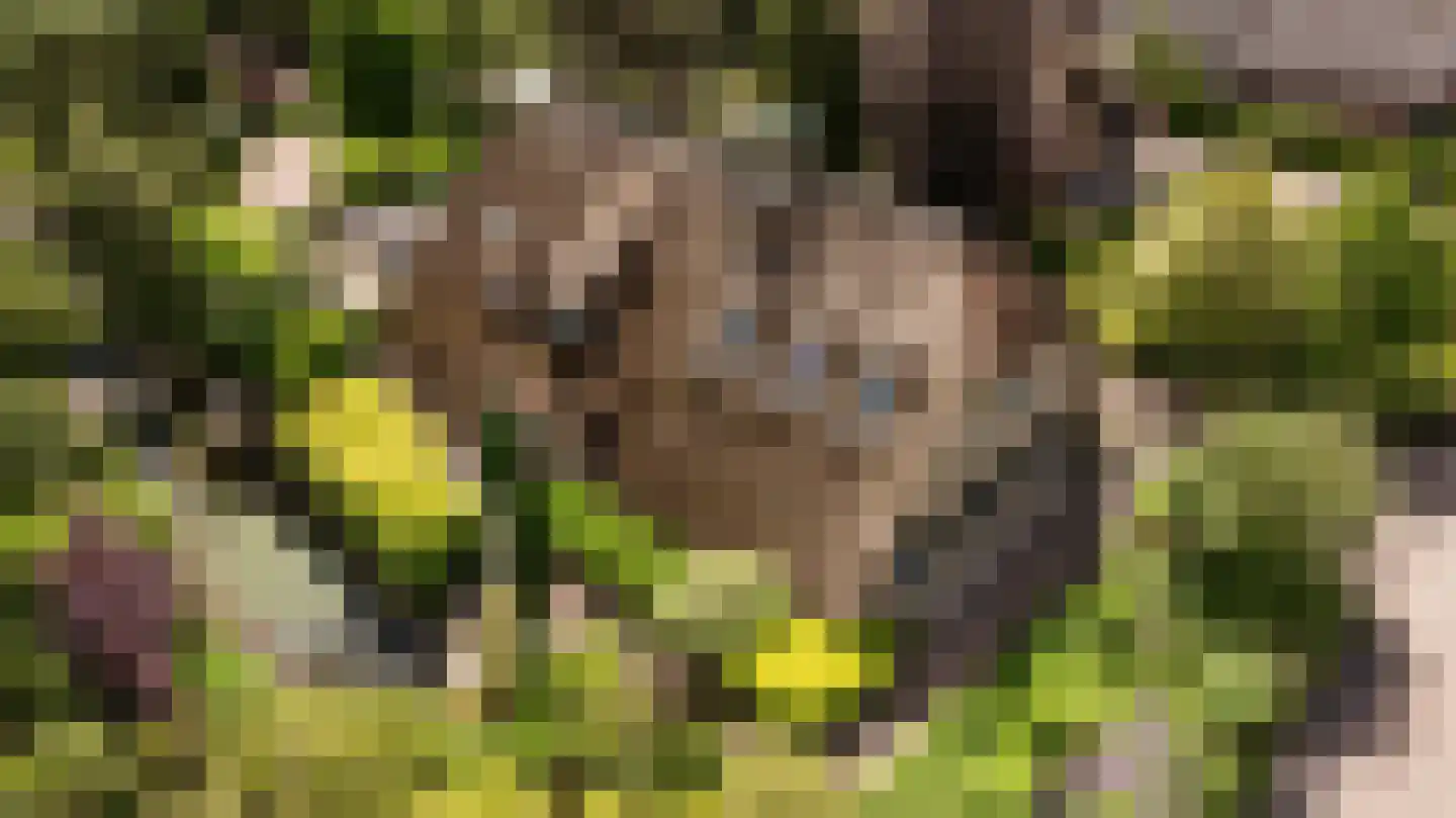 Voordijk 42 Schelluinen thumbnail 9