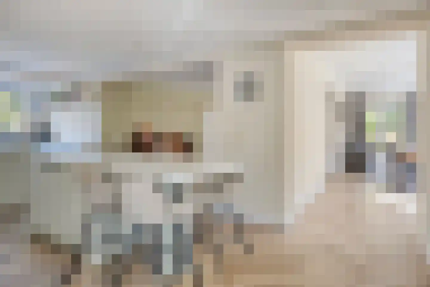 Voordijk 45 Vlijmen thumbnail 17