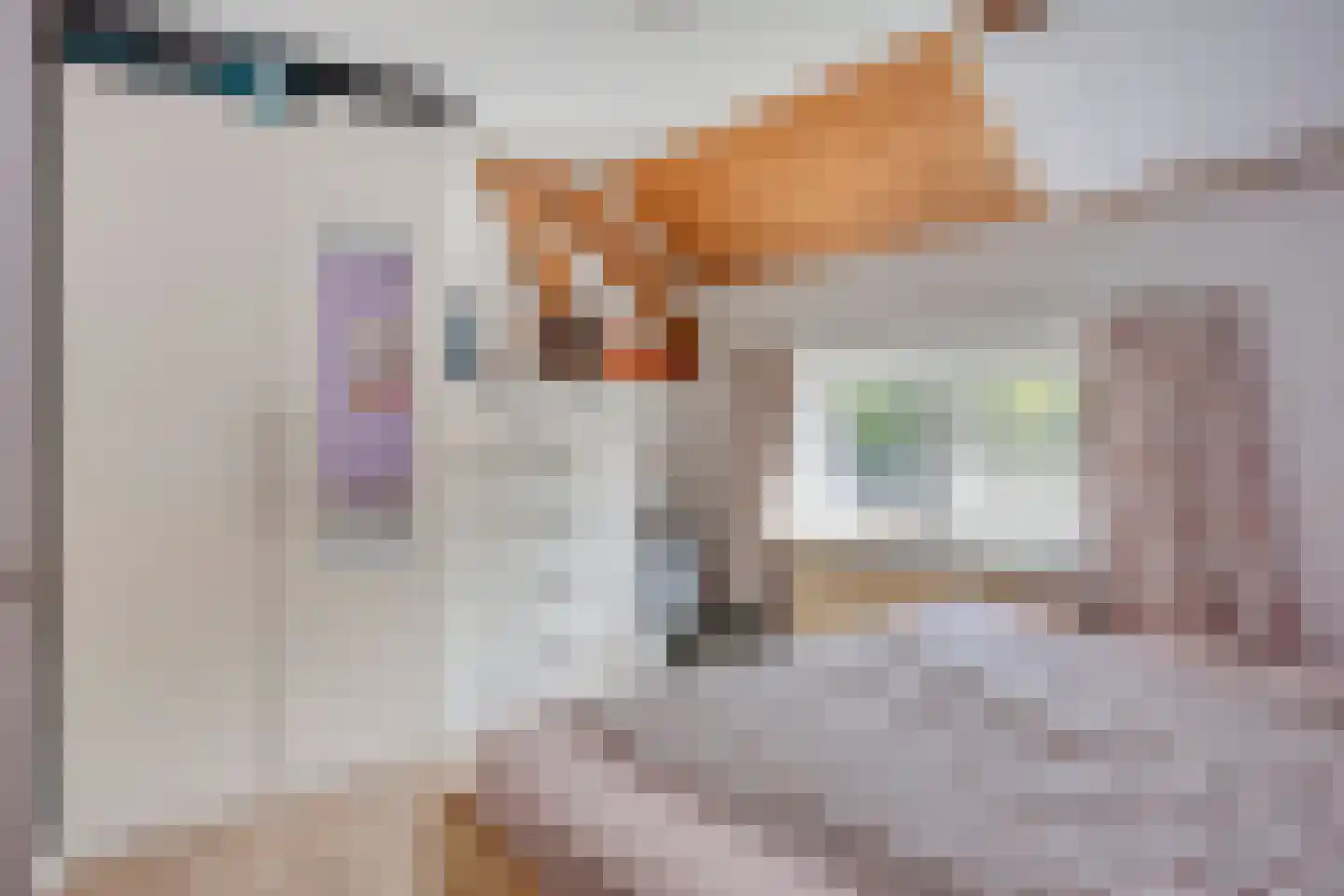 Voordijk 45 Vlijmen thumbnail 32