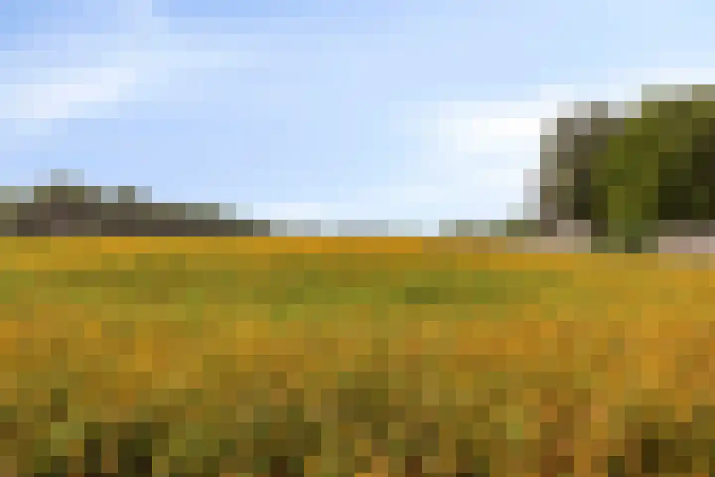 Voordijk 45 Vlijmen thumbnail 54