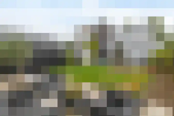 Voordijk 456 a Barendrecht thumbnail 38