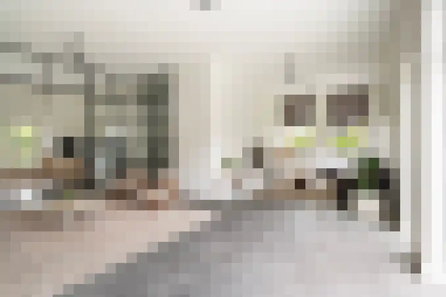 Voordijk 462 Barendrecht thumbnail 8