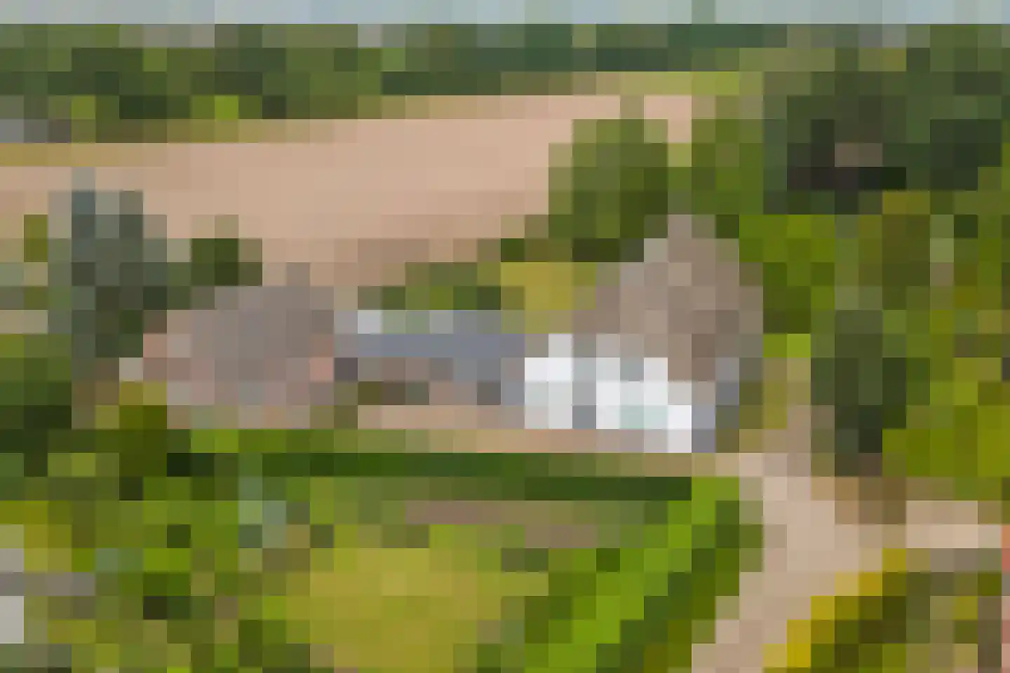 Voordijk 51 Vlijmen