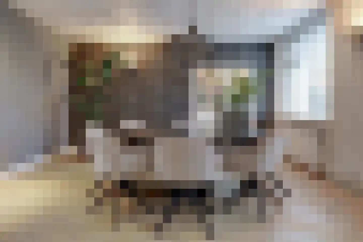 Voordijk 51 Vlijmen thumbnail 11