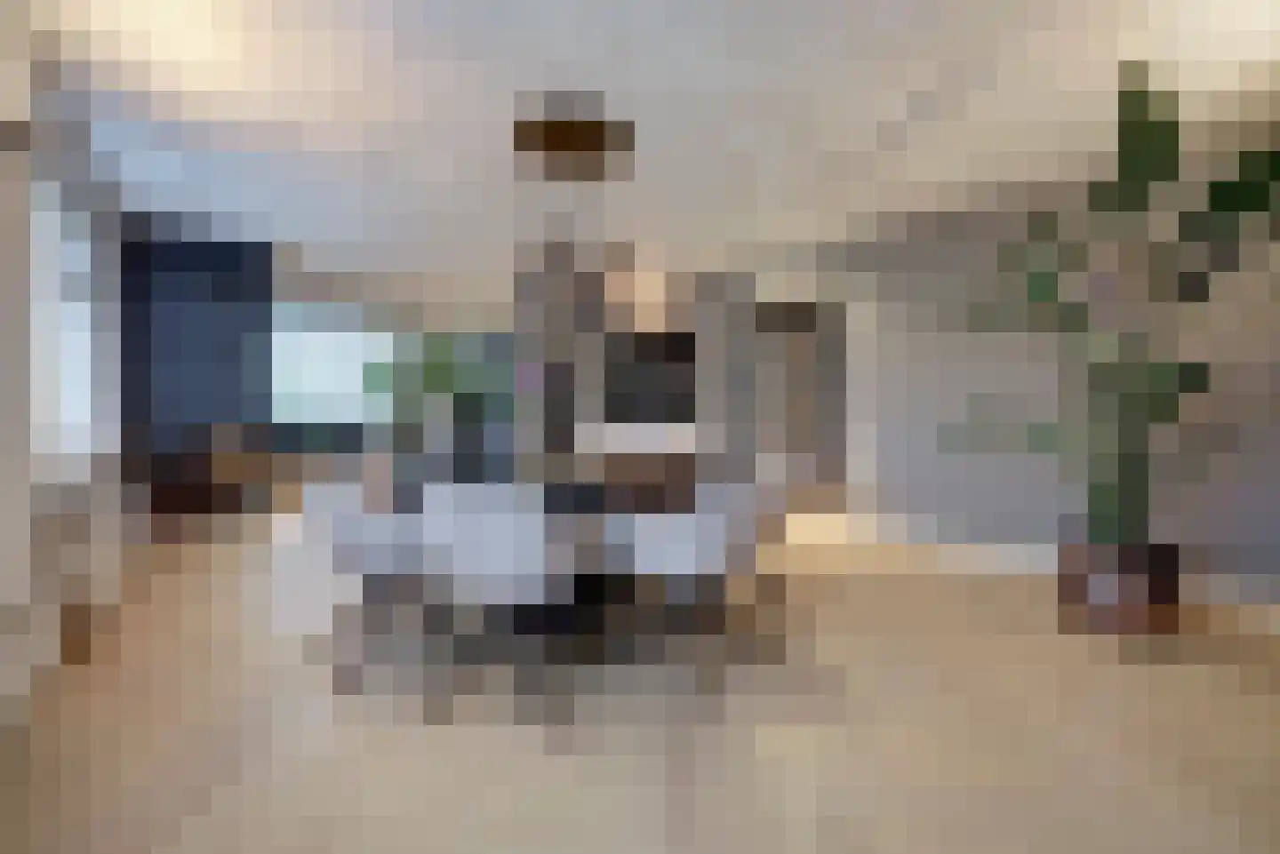 Voordijk 51 Vlijmen thumbnail 12