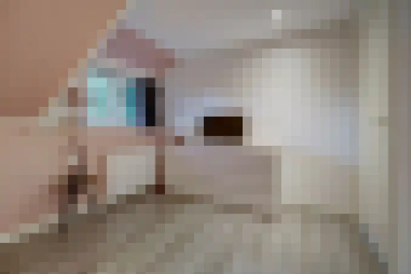 Voordijk 51 Vlijmen thumbnail 32