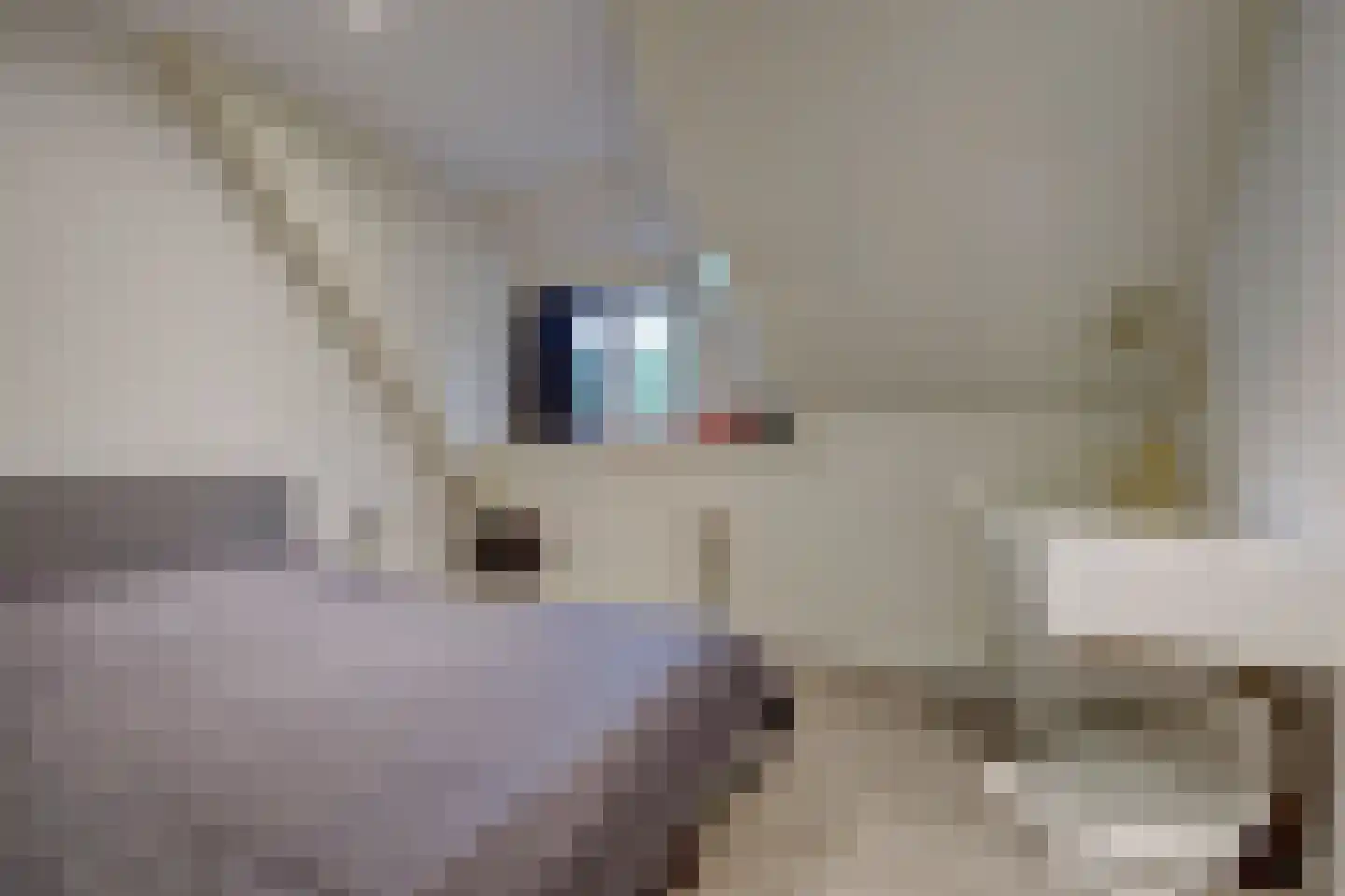Voordijk 51 Vlijmen thumbnail 36
