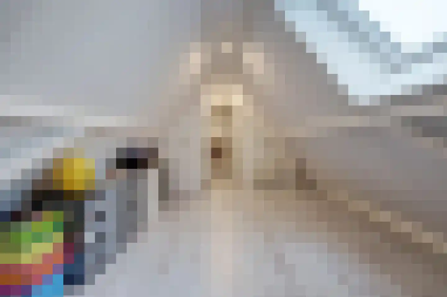 Voordijk 51 Vlijmen thumbnail 42