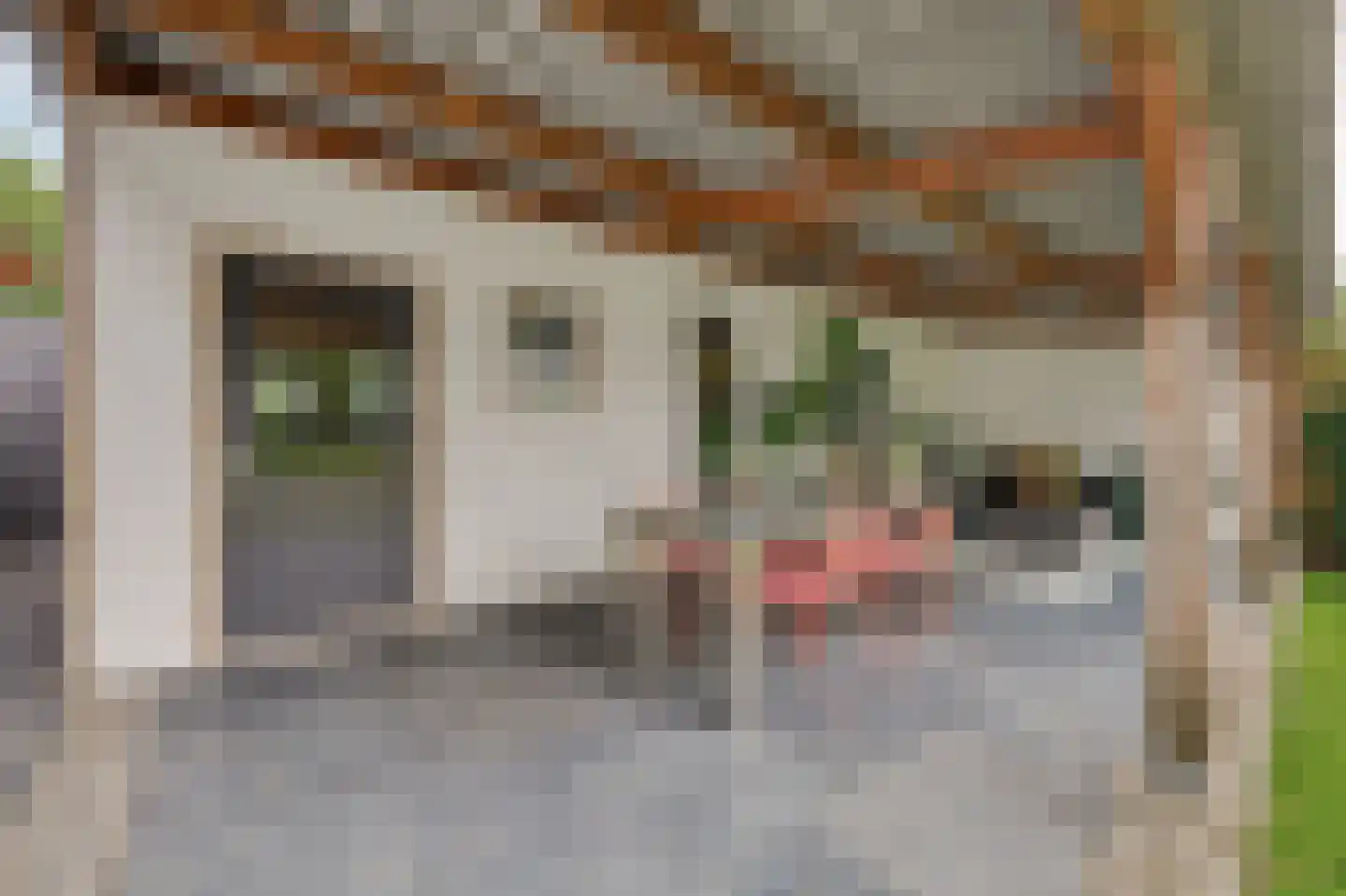 Voordijk 51 Vlijmen thumbnail 47