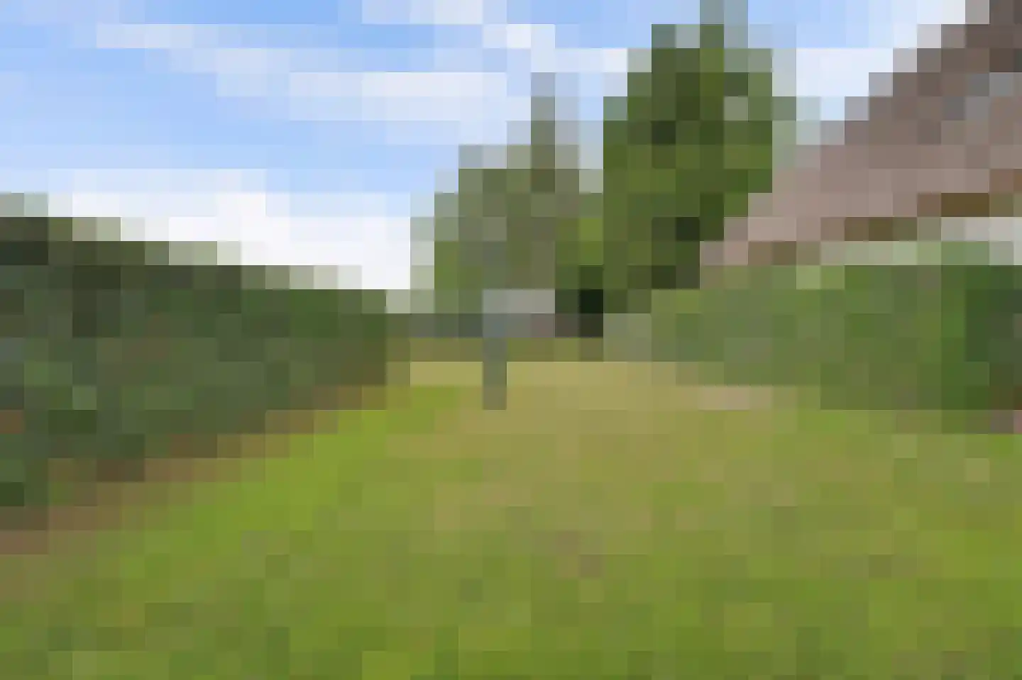 Voordijk 51 Vlijmen thumbnail 50
