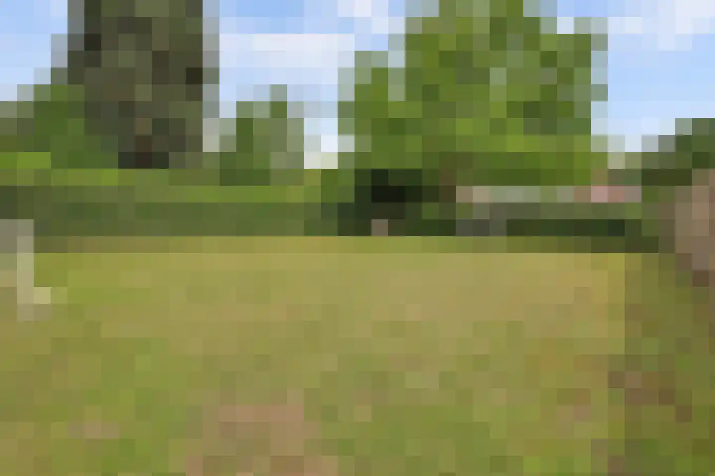 Voordijk 51 Vlijmen thumbnail 57