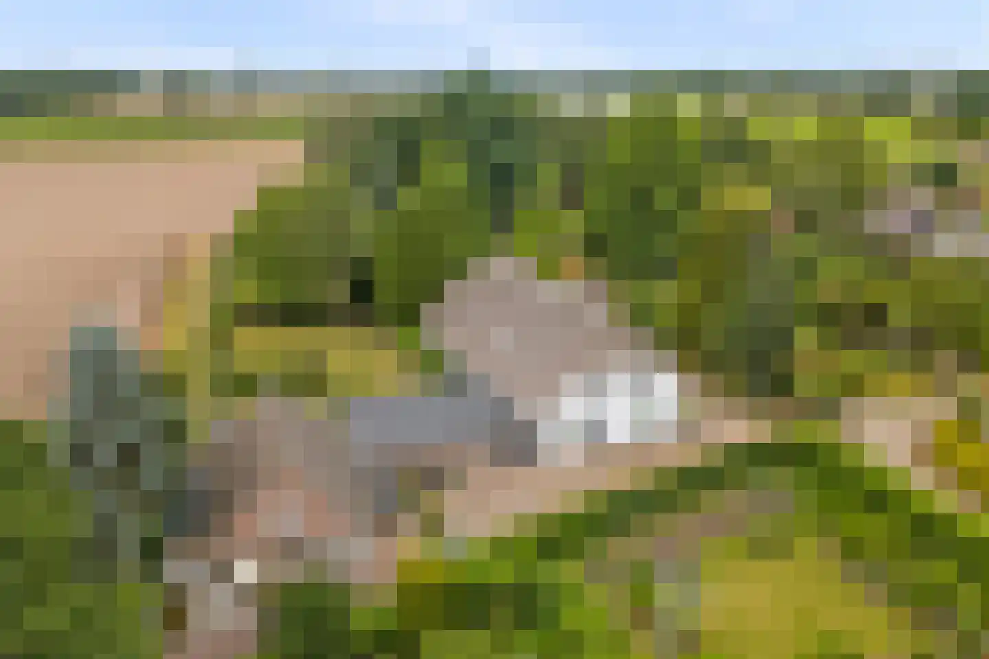 Voordijk 51 Vlijmen thumbnail 60