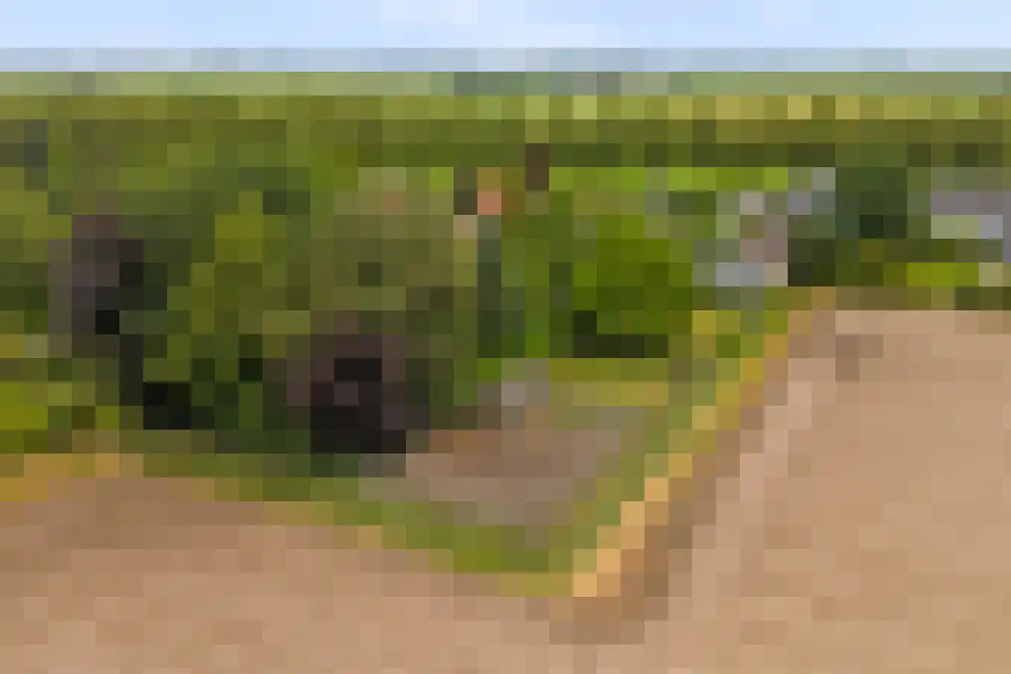 Voordijk 51 Vlijmen thumbnail 68