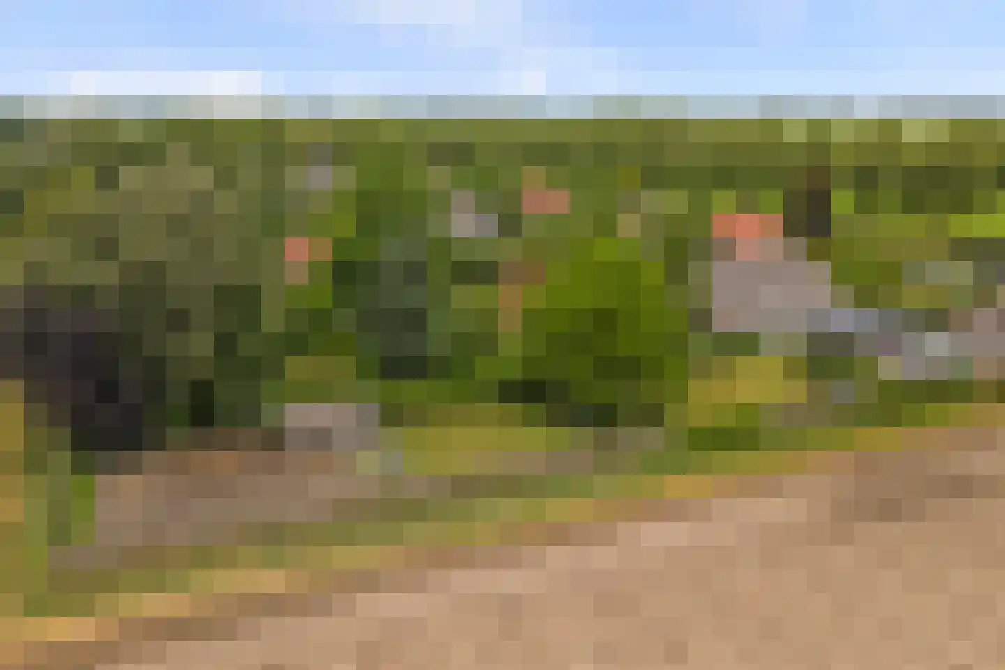 Voordijk 51 Vlijmen thumbnail 69
