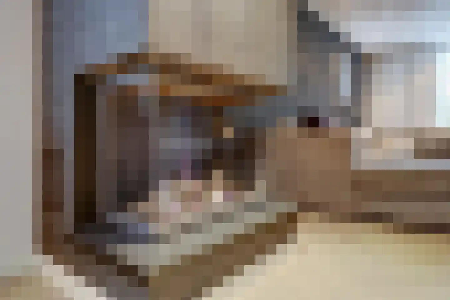 Voordijk 51 Vlijmen thumbnail 8