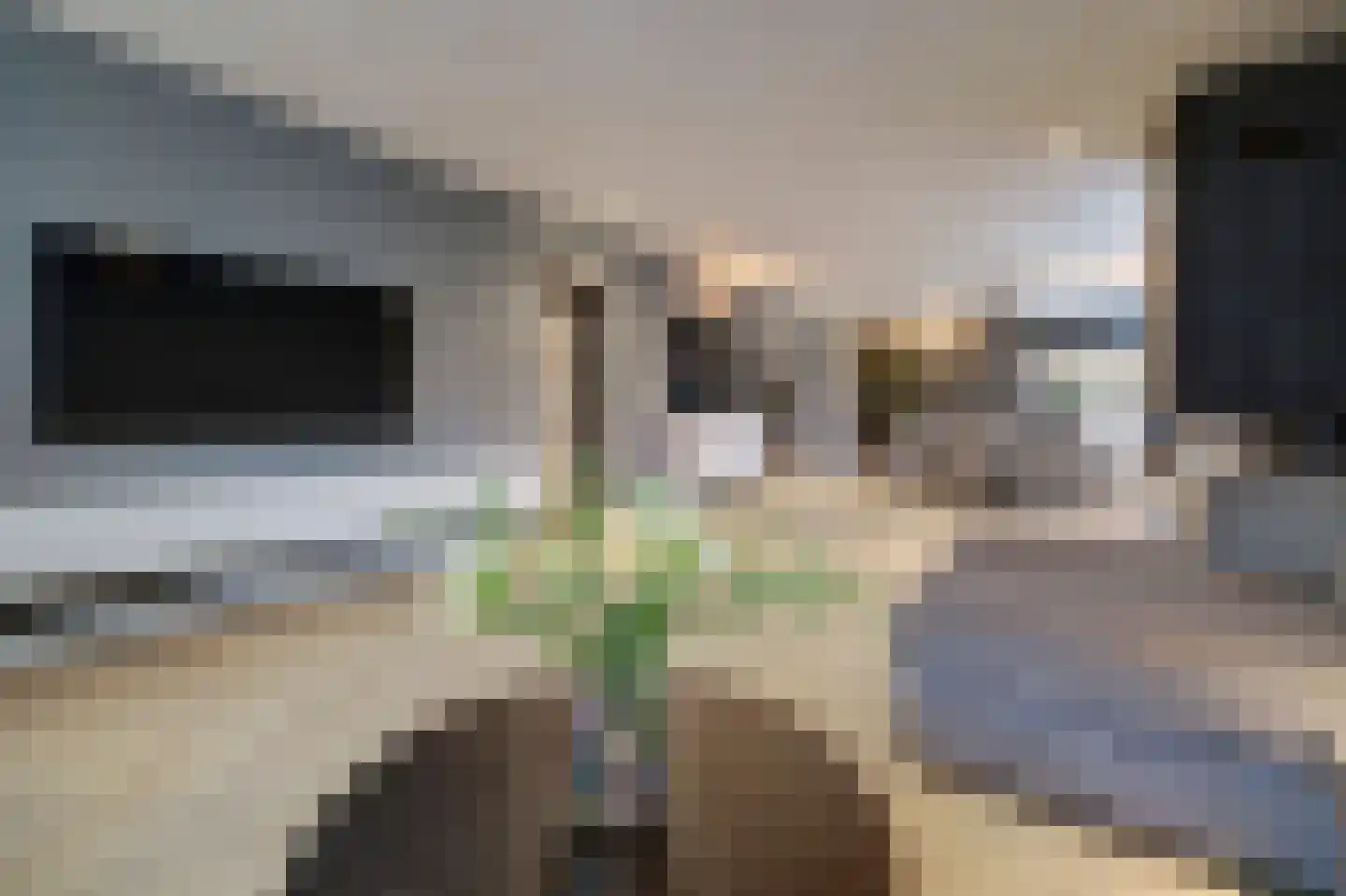 Voordijk 51 Vlijmen thumbnail 9