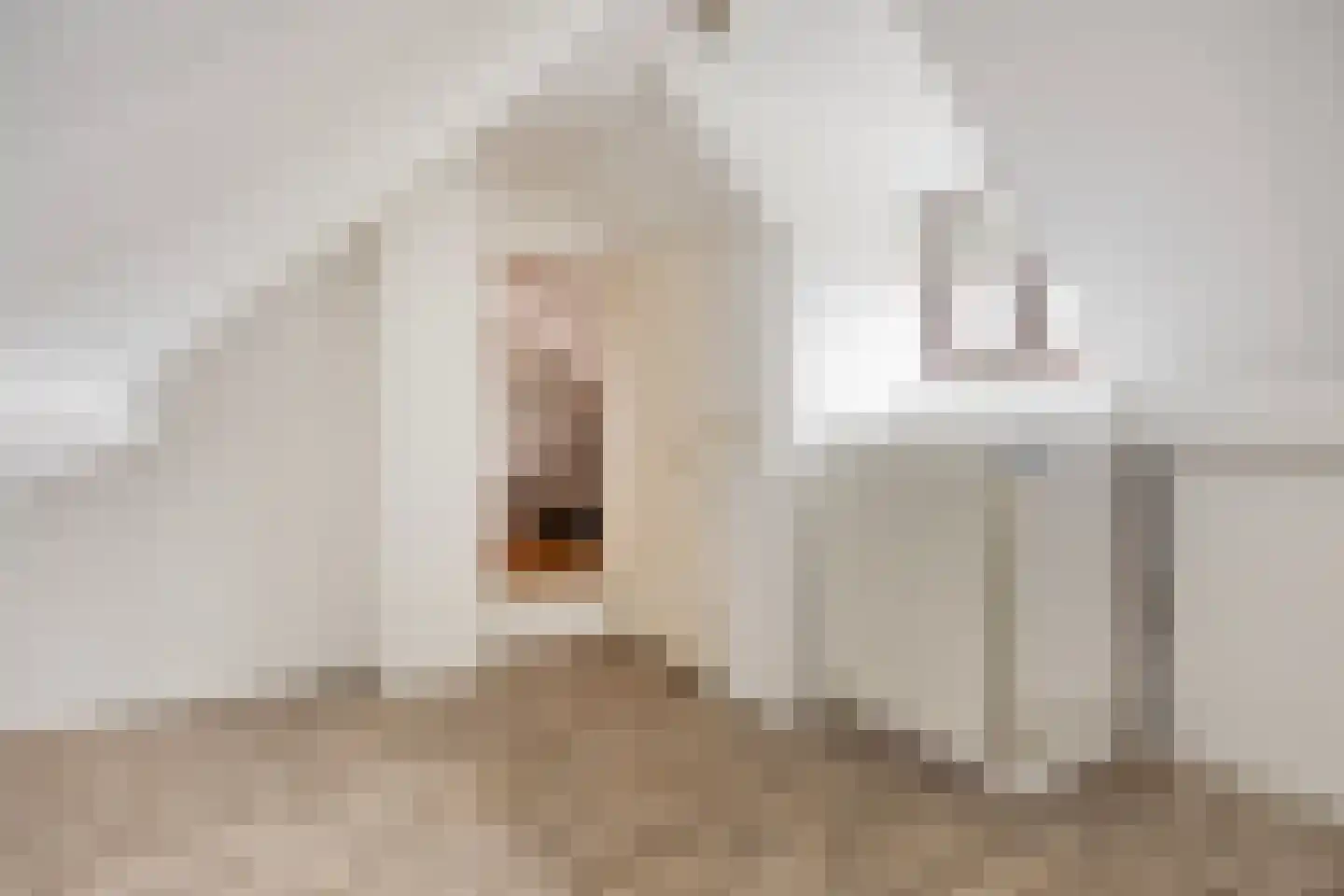Voordijk 55 Vlijmen thumbnail 24