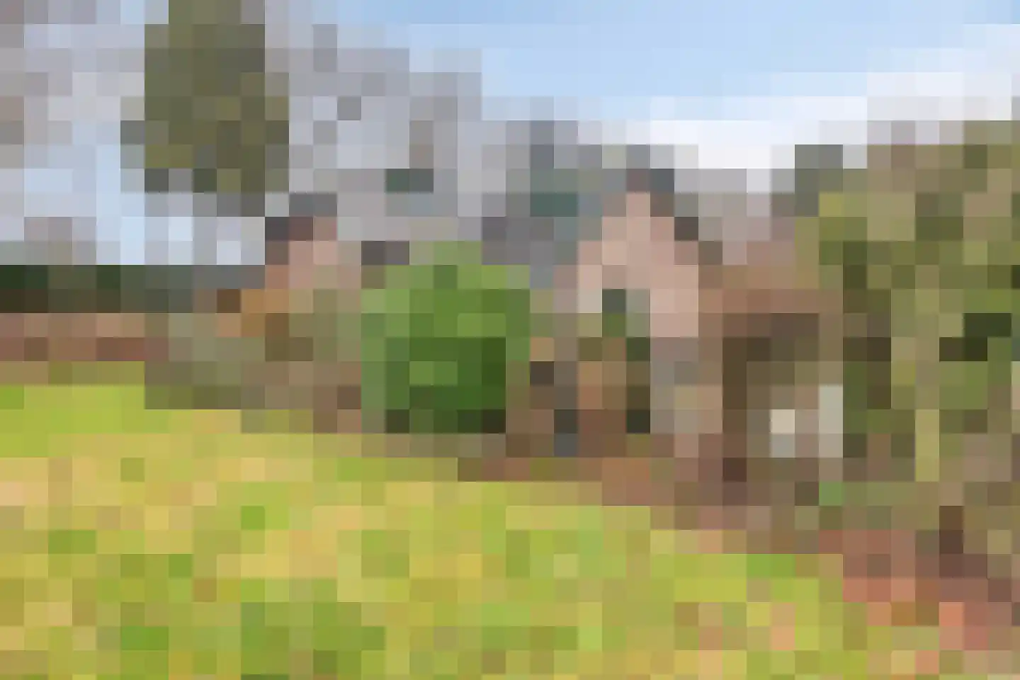 Voordijk 55 Vlijmen thumbnail 30