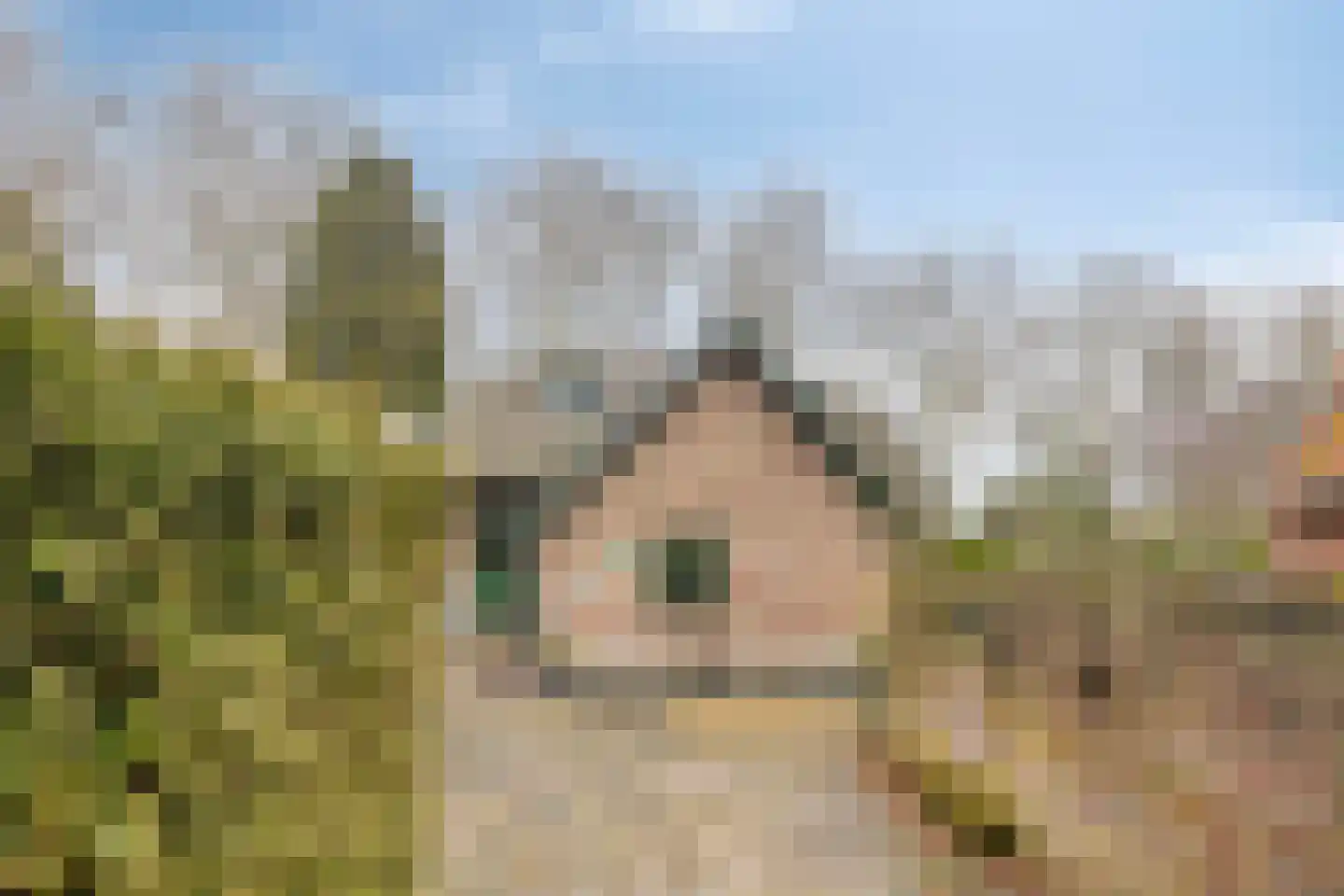 Voordijk 55 Vlijmen thumbnail 35