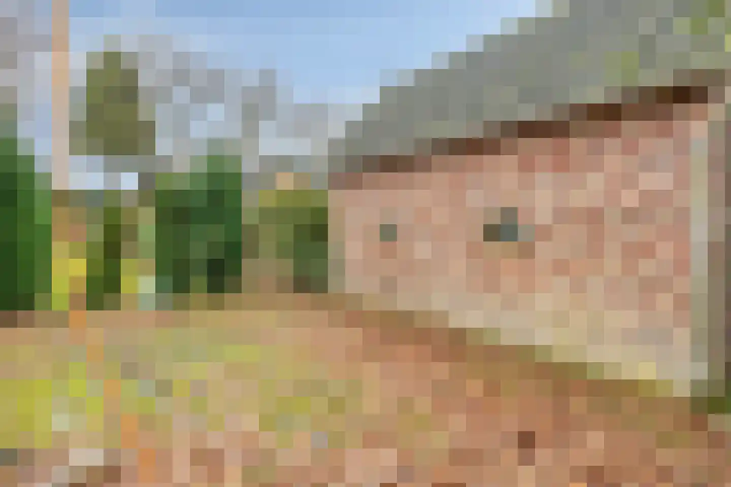 Voordijk 55 Vlijmen thumbnail 4