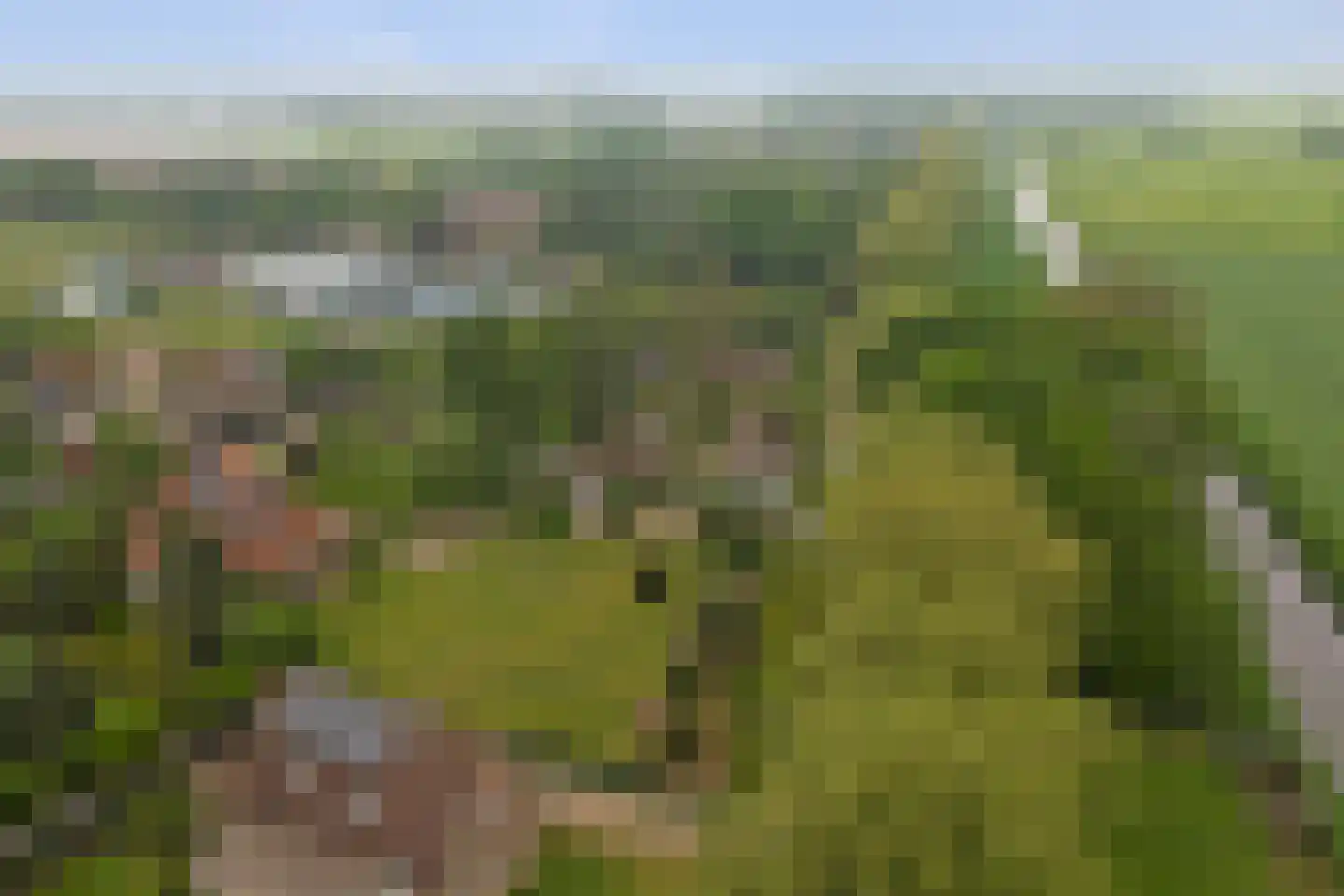 Voordijk Vlijmen thumbnail 22
