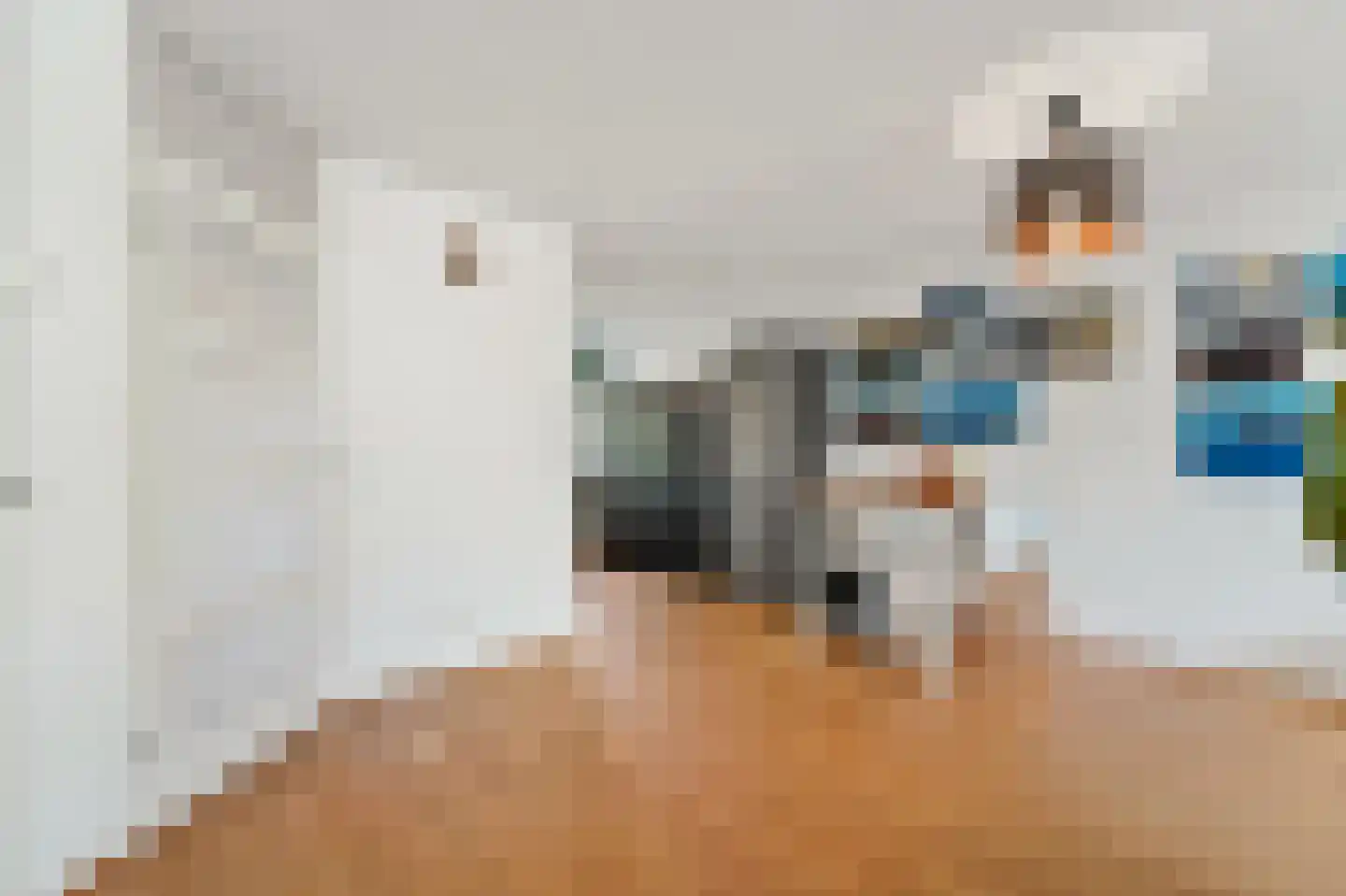 Voordijkshoorn 2 Den Hoorn thumbnail 25