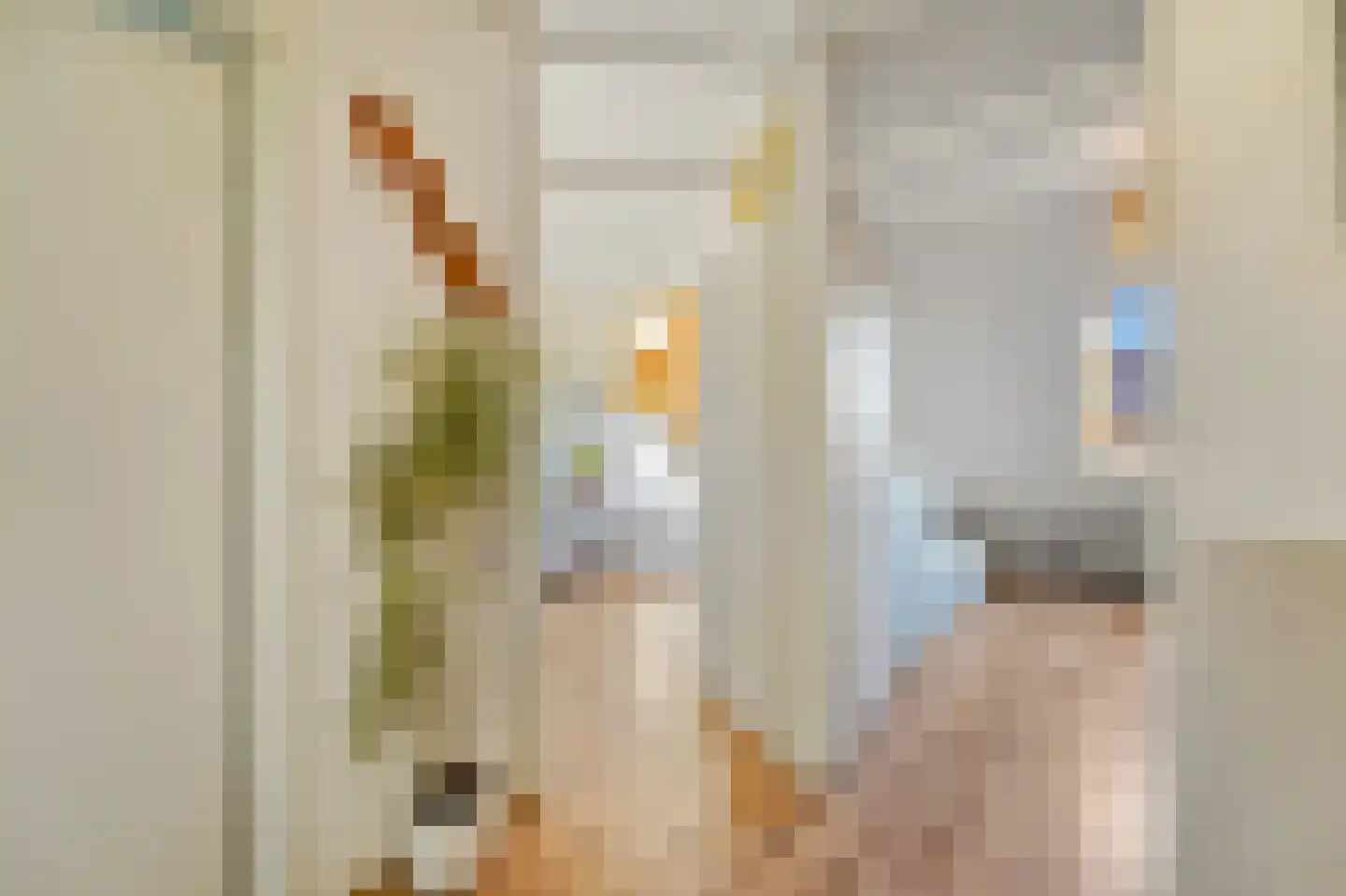 Voordijkshoorn 2 Den Hoorn thumbnail 34