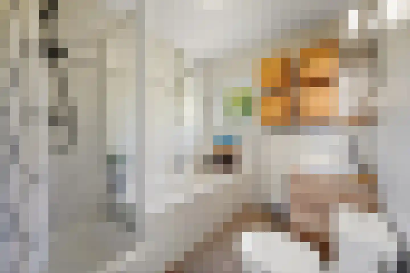 Voordijkshoorn 2 Den Hoorn thumbnail 38