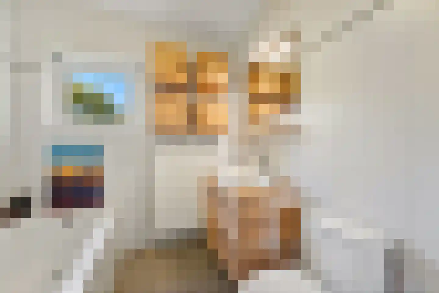 Voordijkshoorn 2 Den Hoorn thumbnail 39