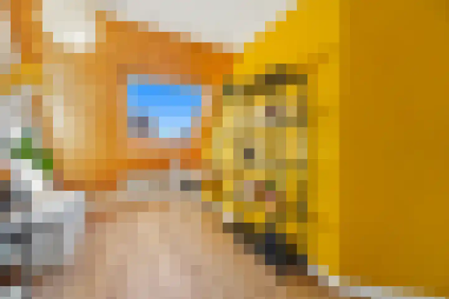 Voordijkshoorn 2 Den Hoorn thumbnail 47